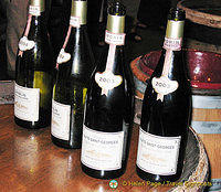 Wine-tasting, Gevry-Chambertin, Cote d'Or, France