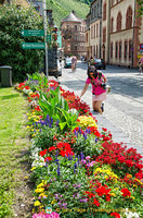 Roadside flower beds