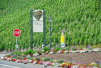 Bernkastel is on the Mosel wine route