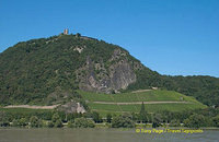 Vineyards of Unkel