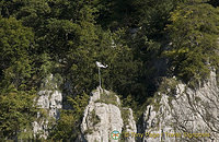 Danube Gorge and Weltenburg Abbey