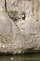 Danube Gorge and Weltenburg Abbey