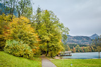 Path to Alpsee Lake