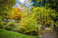 Lake Alpsee nature reserve