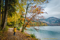 Snapping Alpsee Lake