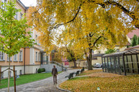 Government offices around Eisengasse