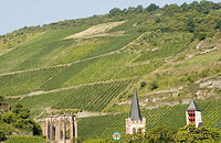 [Rhine Castles - Rhine River Cruise - Germany]