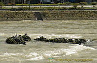 [Rhine Castles - Rhine River Cruise - Germany]