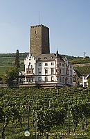 [Rudesheim - Rhine River Cruise - Germany]