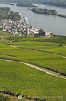 [Rudesheim - Rhine River Cruise - Germany]