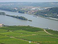 [Rudesheim - Rhine River Cruise - Germany]