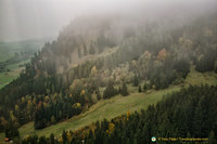 Tegelberg vegetation