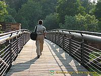 [Wertheim - Main River Cruise - Germany]