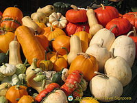 Pumpkins at the Würzburg market