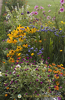 Würzburg Residenz flower garden 