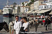 Donkeys waiting for passengers
[Hydra - Greece]