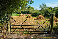 Folk Park farm