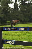 Vintage Crop won the Melbourne Cup in 1993