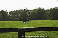 The National Stud