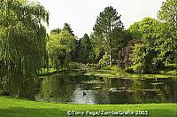 Irish National Stud grounds