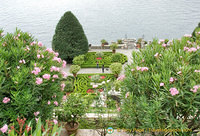 Beautiful terrace view from the top