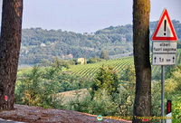 Hills around Montepulciano