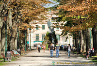 Viale Garibaldi which leads to the Giardini Pubblici