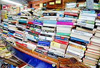 Another boat full of books