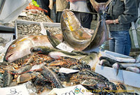 Venice Rialto Markets