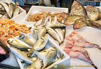 Range of seafood