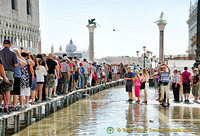 Venice Acqua Alta