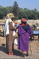 Ourika Valley and a Berber Market