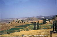 Ourika Valley and Berber Market