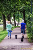 Strolling in Edam