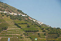 Douro valley, Portugal