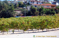 Douro valley, Portugal