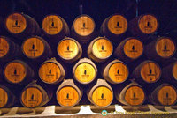 House of Sandeman visit and port tasting, Oporto