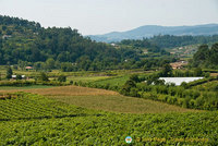 Quinta da Lixa winery, Douro, Portugal