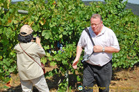 Quinta da Lixa winery, Douro, Portugal