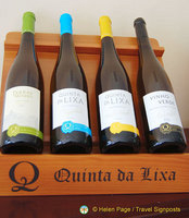 Quinta da Lixa winery, Douro, Portugal