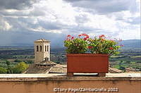 Assisi