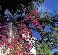 Isle of Capri