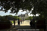 A plane tree-lined avenue leads to the elegant Chateau de Chenonceau