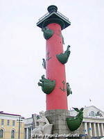 Rostral Column 