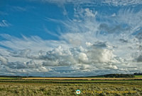 Caithness countryside