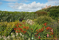 Castle of Mey Gardens