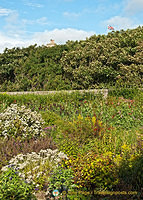 Castle of Mey Gardens