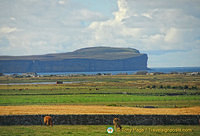 View of Dunnet Head