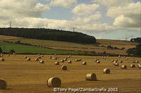 Scottish Border Region