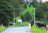 Checking out the Laggan cattle